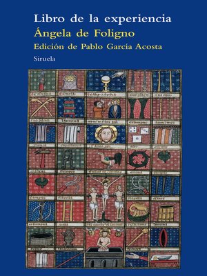 cover image of Libro de la experiencia